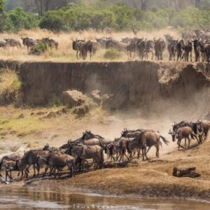 Private semi-luxury migration safari