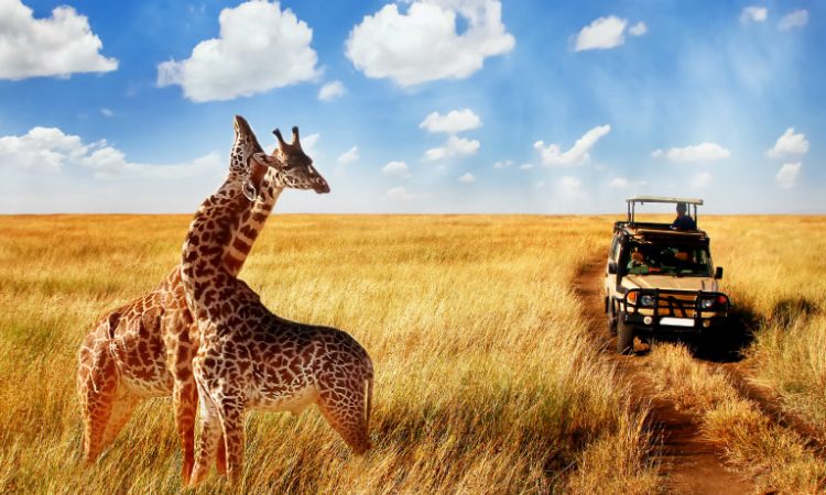 3 DAY ZANZIBAR TO TARANGIRE, NGORONGORO AND LAKE MANYARA - Tanzanian Africa