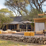 Experience at Chem Chem Safari Lodge