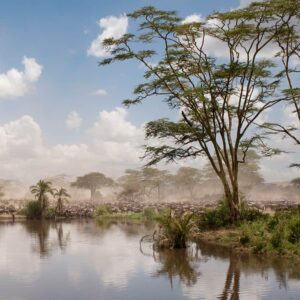 2-Day Zanzibar to Ngorongoro & Tarangire Safari