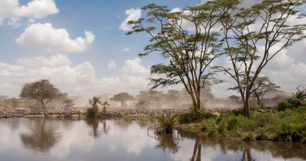 2-Day Zanzibar to Ngorongoro & Tarangire Safari