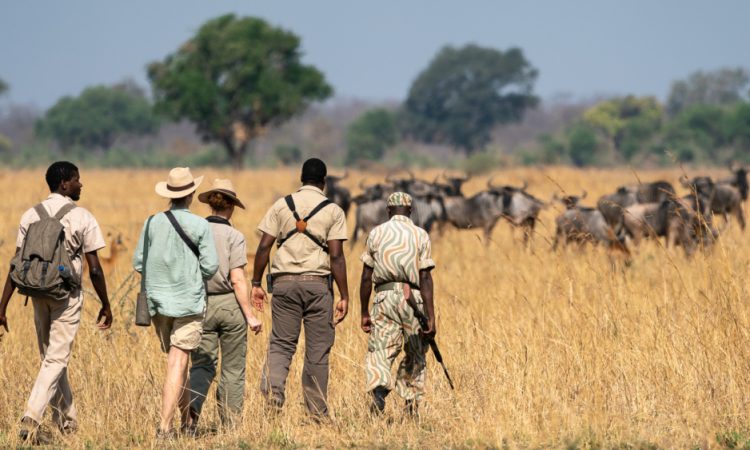 Contact Tanzanian Africa