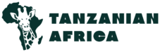 Tanzanian Africa